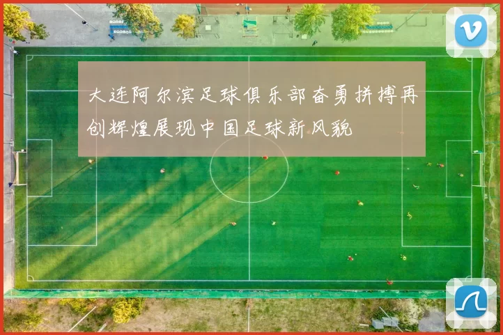 大连阿尔滨足球俱乐部奋勇拼搏再创辉煌展现中国足球新风貌